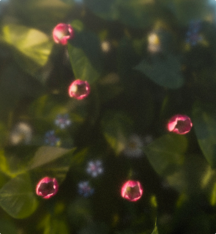 3D motion — nature gems